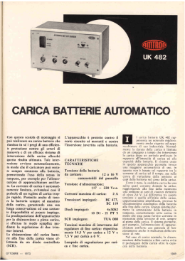 Amtron UK482 - Automatic battery charger