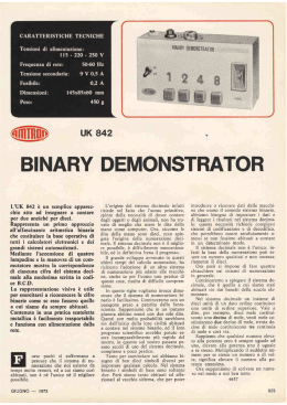 Amtron UK842 - Binary demonstrator