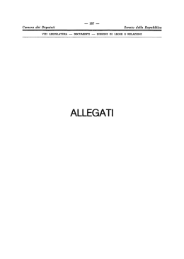 Documento interno della VIII legislatura