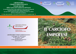Carciofo_empolese - Camera di Commercio di Firenze