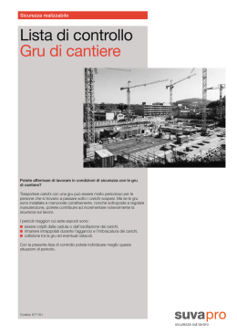 Lista di controllo: Gru di cantiere