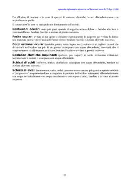 D.Lgs. 81/08 - IIS Galilei Jesi