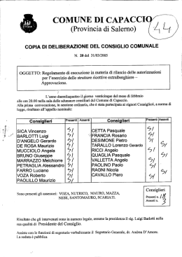 Regolamento di rilascio delle autorizzazioni per l`esercizio delle