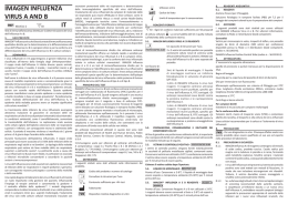IMAGEN Influenza virus A and B [IT]