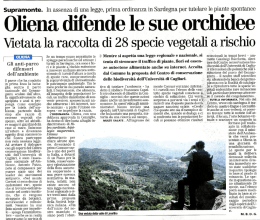 Oliena difende le sue orchidee - Centro Conservazione Biodiversit&agrave;
