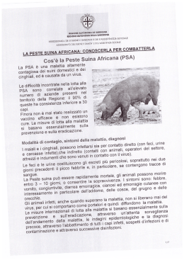 opuscolo peste suina