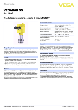 VEGABAR 55 - VEGA Americas, Inc.