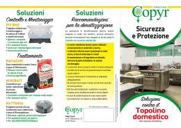 Soluzioni Soluzioni - bettini giorgio rappresentate