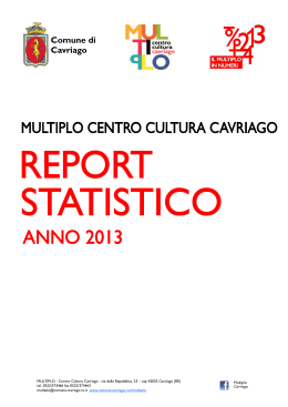 Report statistico 2013