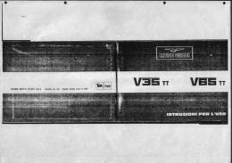 V35 TT - Anima Guzzista