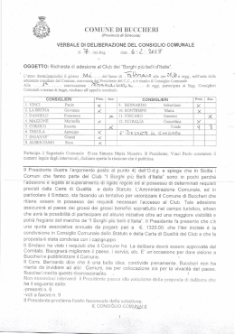 Delibera Consiglio 7