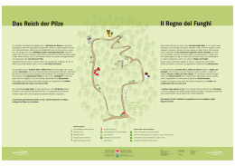 Das Reich der Pilze Il Regno dei Funghi