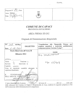 determina dirigenziale n. 248/2012