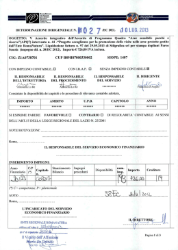 DD n. 027/EC del 10.07.2013