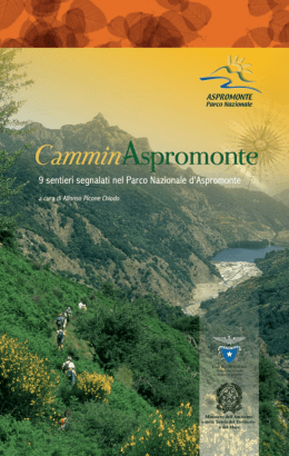 link diretto - Funghi d`Aspromonte