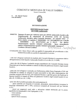 det. n. 30 del 22-10-2013 - Comunità Montana di Valle Sabbia
