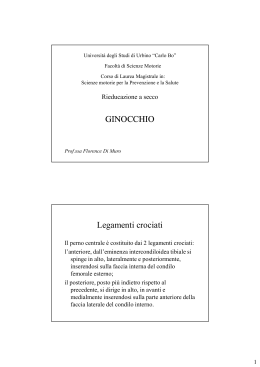 GINOCCHIO Legamenti crociati - Università degli Studi di Urbino
