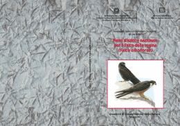 Piano d`azione nazionale per il Falco della Regina (Falco Eleonorae
