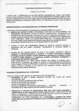 piano operativo servizio gestione stupinigi