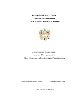 Organizzazioni non governative e la cultura delle
