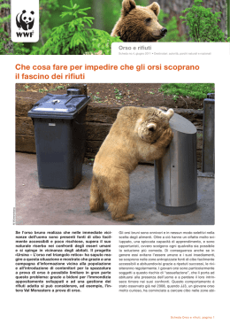 Orso e rifiuti
