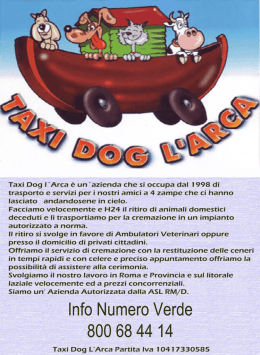 Taxi Dog Arca Opuscolo