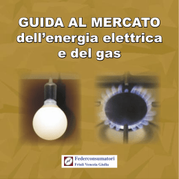 GUIDA AL MERCATO dell`energia elettrica e del gas