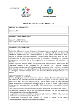 ministero della solidarieta` sociale &ndash; presidenza del consiglio dei