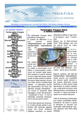 Numero 32 - Ottobre 2010