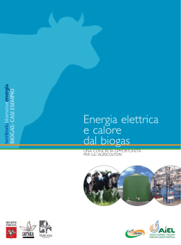 Energia dal biogas - IIS Duca degli Abruzzi Padova