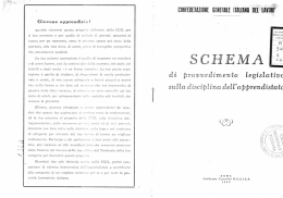 Schema di provvedimento legislativo sulla disciplina dell