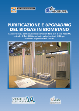 purificazione e upgrading del biogas in biometano