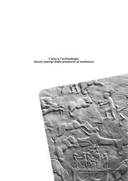 L`orso e l`archeologia