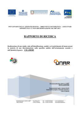 Report ricerca UNAR 2007-2013