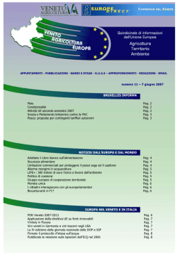 Numero 11 - 2007 - Consiglio Regionale del Veneto