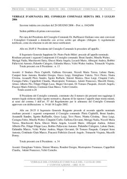 Verbale 3 Luglio 2006 - Consiglio Comunale