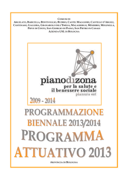 programma attuativo 2013