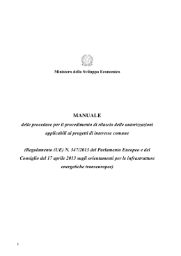Manuale TEN - Ministero dello Sviluppo Economico