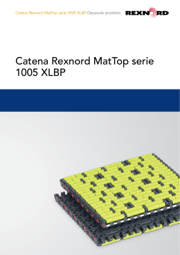 Catena Rexnord MatTop serie 1005 XLBP