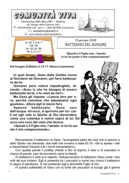 SB Conumit&agrave; Viva 080113.pub