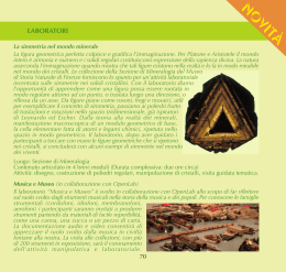 novit&agrave; - Museo di Storia Naturale - Universit&agrave; degli Studi di Firenze