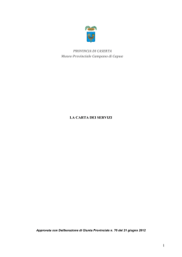 la carta dei servizi del museo campano