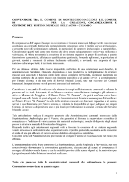 convenzione - G. Zannato