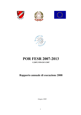 Rapporto annuale di esecuzione 2008