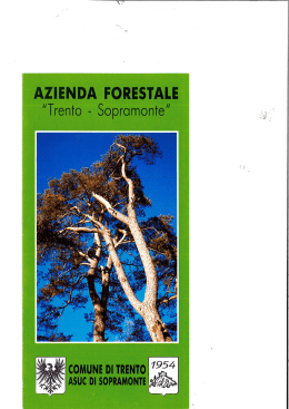 File "Opuscolo Azienda forestale" di 1,17 MB