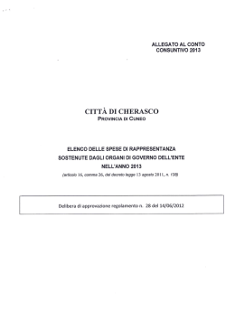 Spese di Rappresentanza - anno 2013