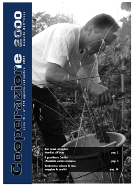 pag. 4 Vendemmia: minore