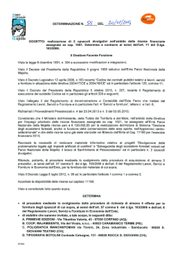 DETERMINAZIONEN. 55 DEL ZO/Of/5oft