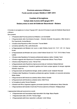 Verbale della seduta del Comitato di sorveglianza dd. 08 giugno 2011
