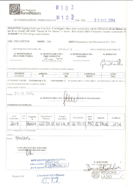 Determinazione Dirigenziale n. 103/NN del 23.12.2014